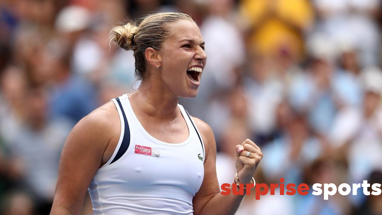 dominika cibulkova net worth - Article 1